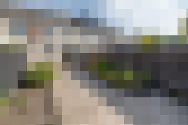 Bijenveld 4 Barneveld thumbnail 41