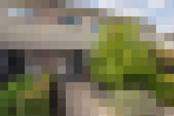 Bijenveld 4 Barneveld thumbnail 42