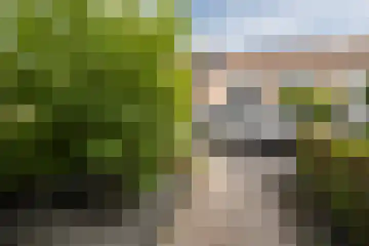 Bijenveld 4 Barneveld thumbnail 43