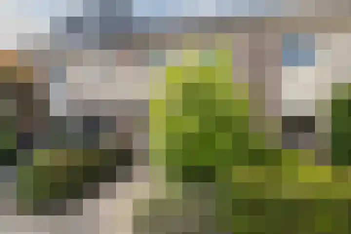 Bijenveld 4 Barneveld thumbnail 44