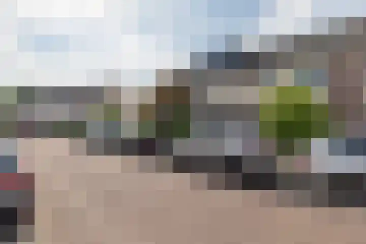 Bijenveld 4 Barneveld thumbnail 45