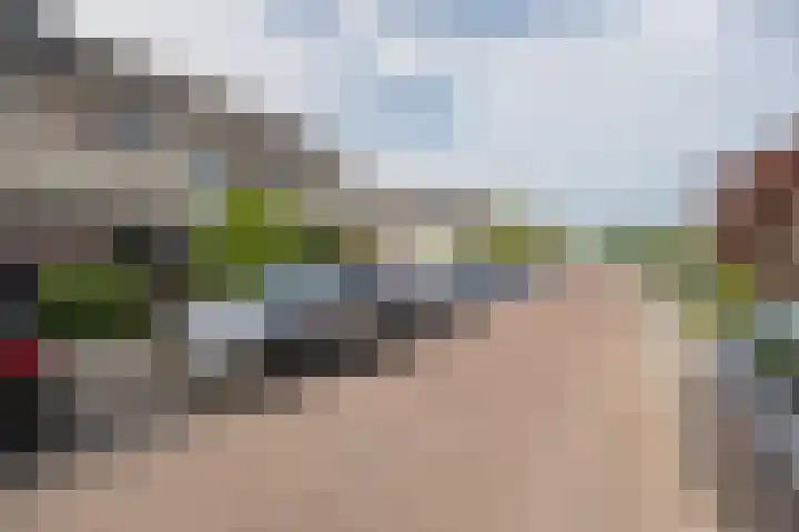 Bijenveld 4 Barneveld thumbnail 46