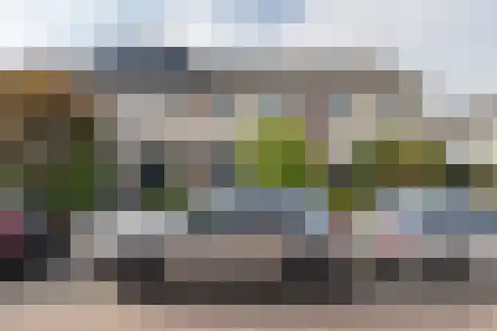 Bijenveld 4 Barneveld thumbnail 47