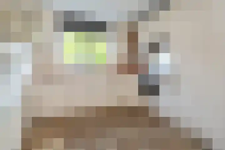 Bijenveld 4 Barneveld thumbnail 8