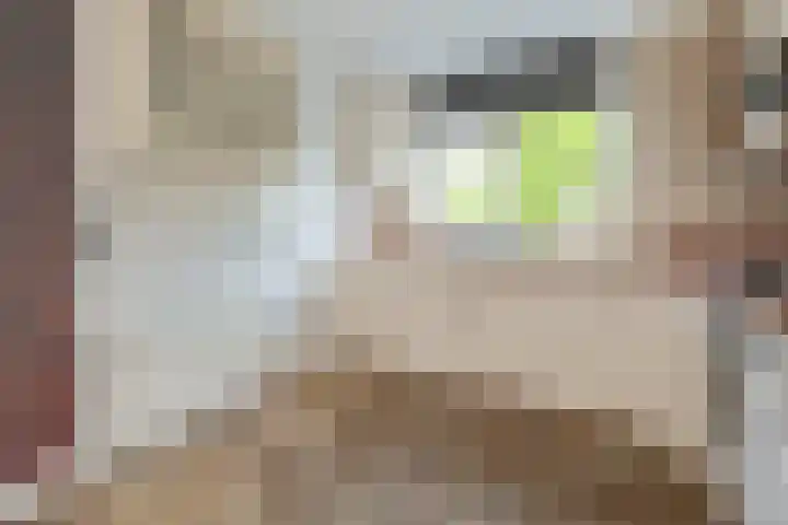 Bijenveld 4 Barneveld thumbnail 9