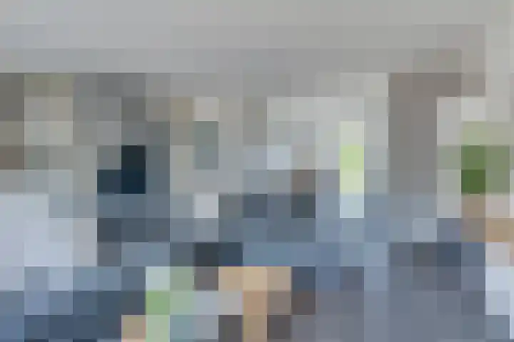 Bijenvlucht 14 Hoevelaken thumbnail 10
