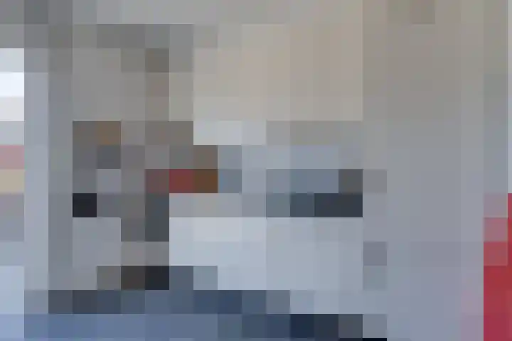 Bijenvlucht 14 Hoevelaken thumbnail 14