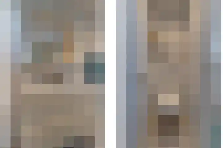 Bijenvlucht 14 Hoevelaken thumbnail 33