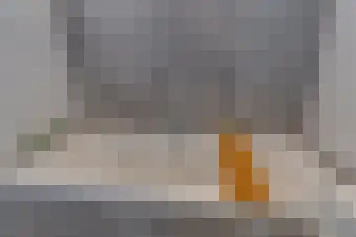 Bijenvlucht 14 Hoevelaken thumbnail 34