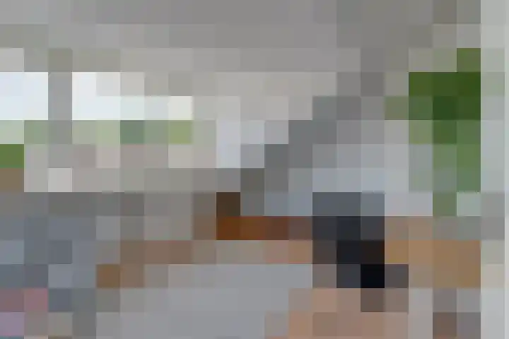 Bijenvlucht 14 Hoevelaken thumbnail 36