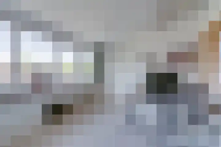 Bijenvlucht 14 Hoevelaken thumbnail 41