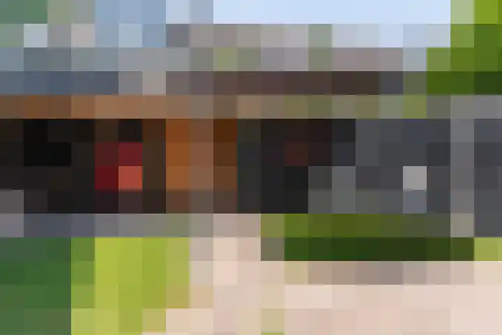 Bijenvlucht 14 Hoevelaken thumbnail 45