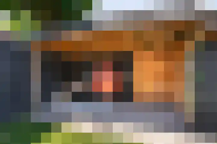 Bijenvlucht 14 Hoevelaken thumbnail 46