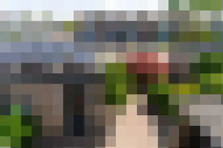 Bijenvlucht 14 Hoevelaken thumbnail 49