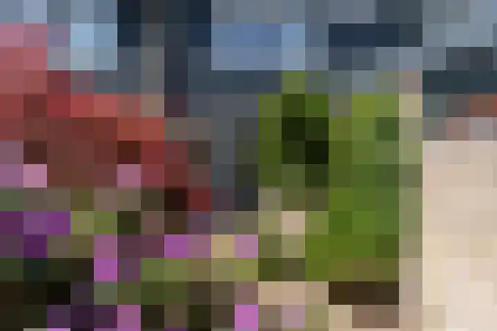 Bijenvlucht 14 Hoevelaken thumbnail 50