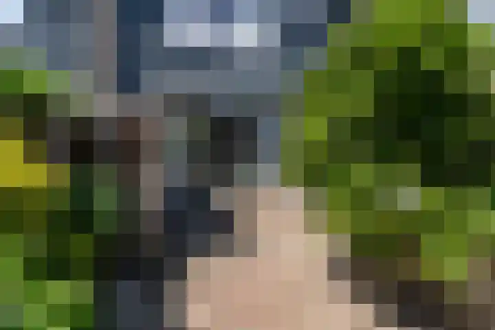 Bijenvlucht 14 Hoevelaken thumbnail 51