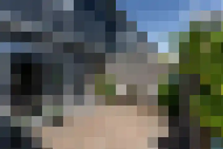 Bijenvlucht 14 Hoevelaken thumbnail 53
