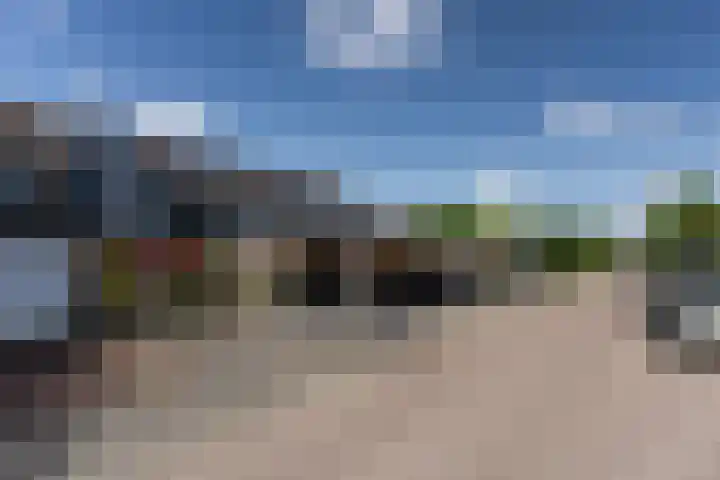 Bijenvlucht 14 Hoevelaken thumbnail 56
