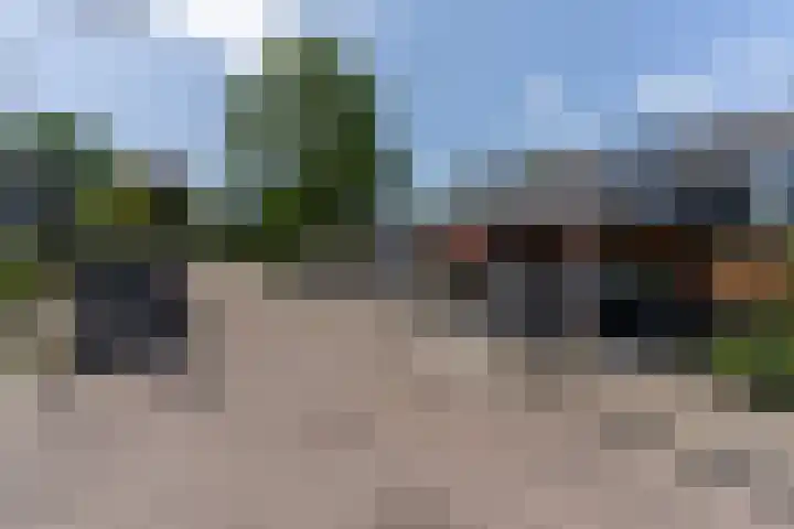 Bijenvlucht 14 Hoevelaken thumbnail 57