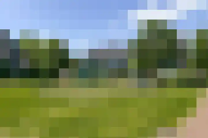 Bijenvlucht 14 Hoevelaken thumbnail 59