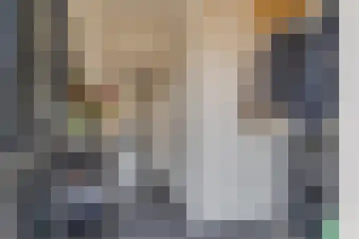 Bijenvlucht 14 Hoevelaken thumbnail 6