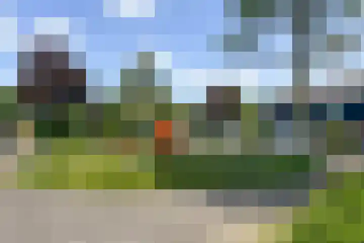 Bijenvlucht 14 Hoevelaken thumbnail 60