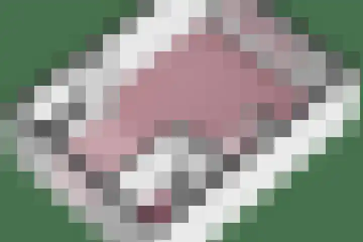 Bijenvlucht 14 Hoevelaken thumbnail 64