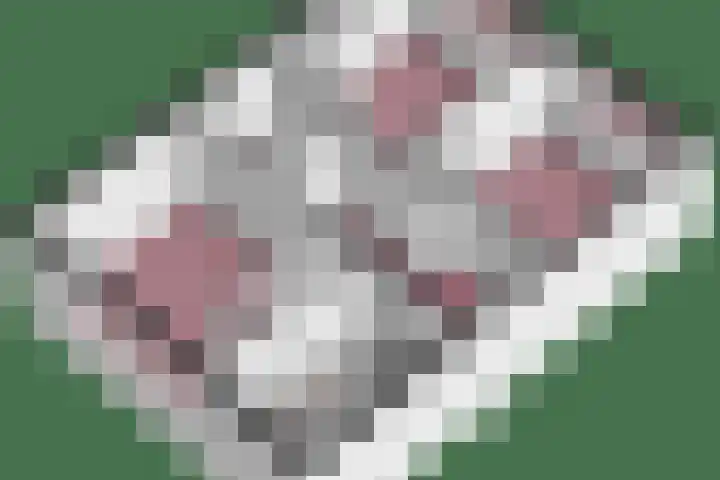 Bijenvlucht 14 Hoevelaken thumbnail 66