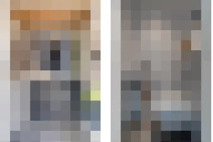 Bijenvlucht 14 Hoevelaken thumbnail 7