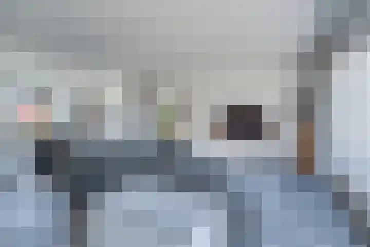 Bijenvlucht 14 Hoevelaken thumbnail 8