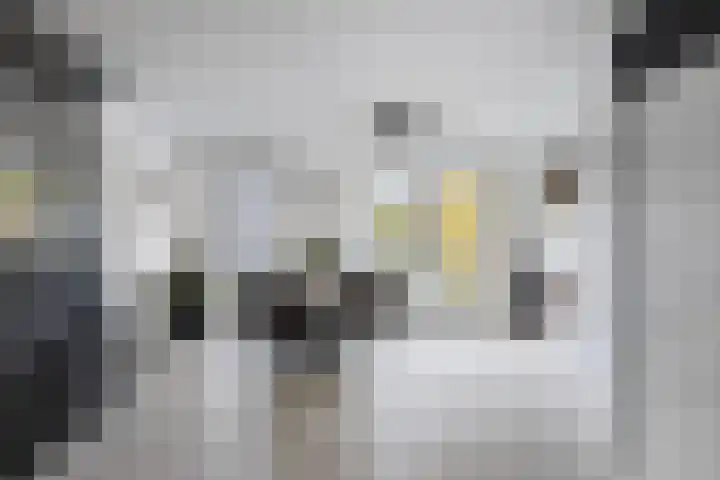 Bijenweide 19 Etten-Leur thumbnail 13