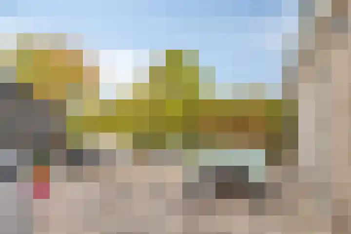 Bijenweide 19 Etten-Leur thumbnail 24