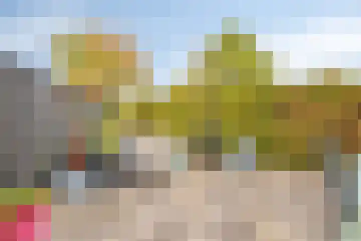 Bijenweide 19 Etten-Leur thumbnail 25