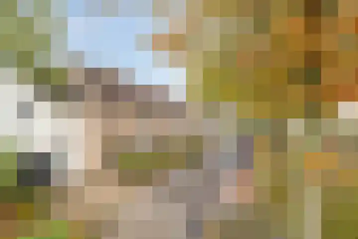 Bijenweide 19 Etten-Leur thumbnail 41