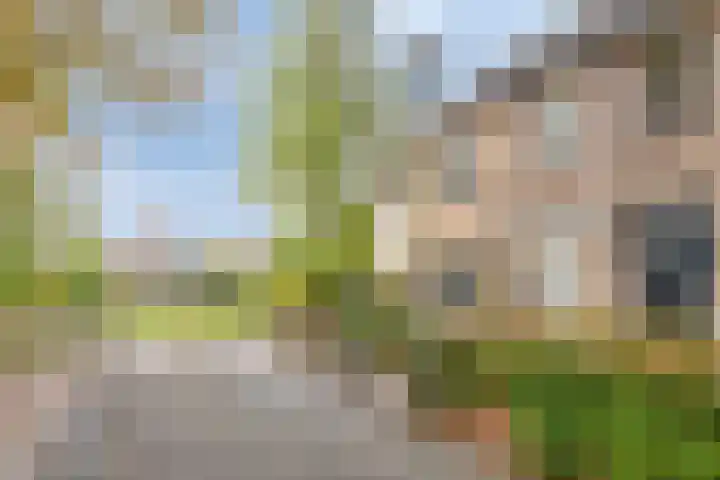 Bijenweide 19 Etten-Leur thumbnail 42
