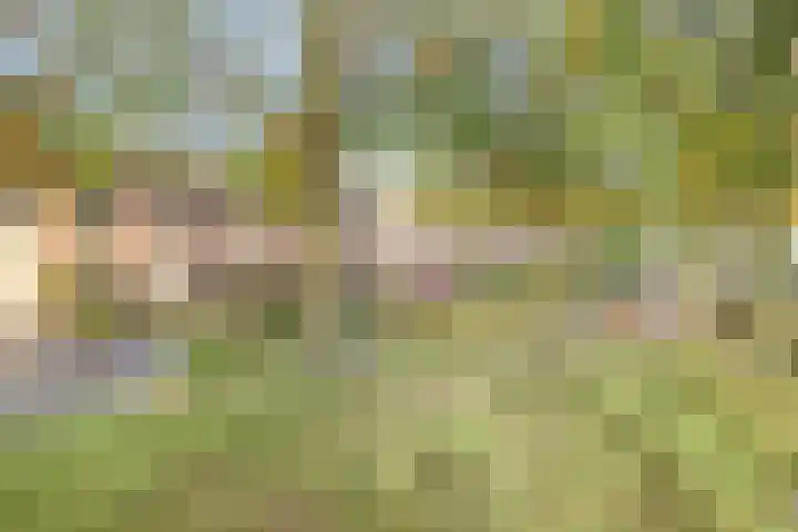 Bijenweide 19 Etten-Leur thumbnail 43