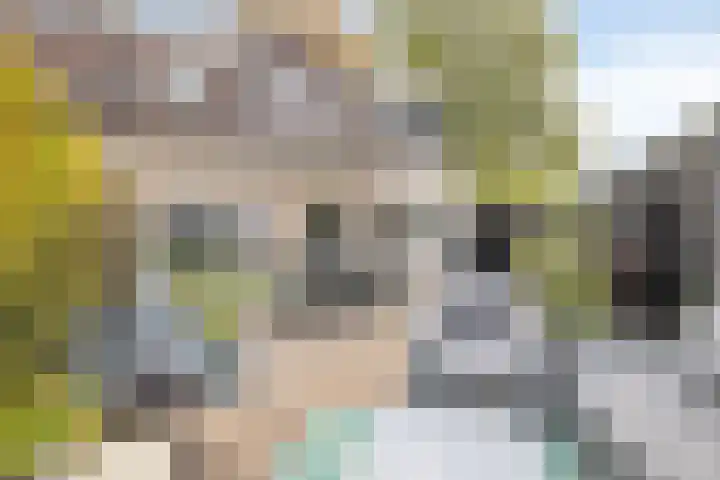 Bijenweide 19 Etten-Leur thumbnail 5