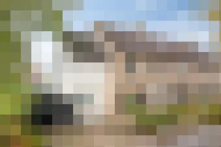 Bijenweide 19 Etten-Leur thumbnail 8