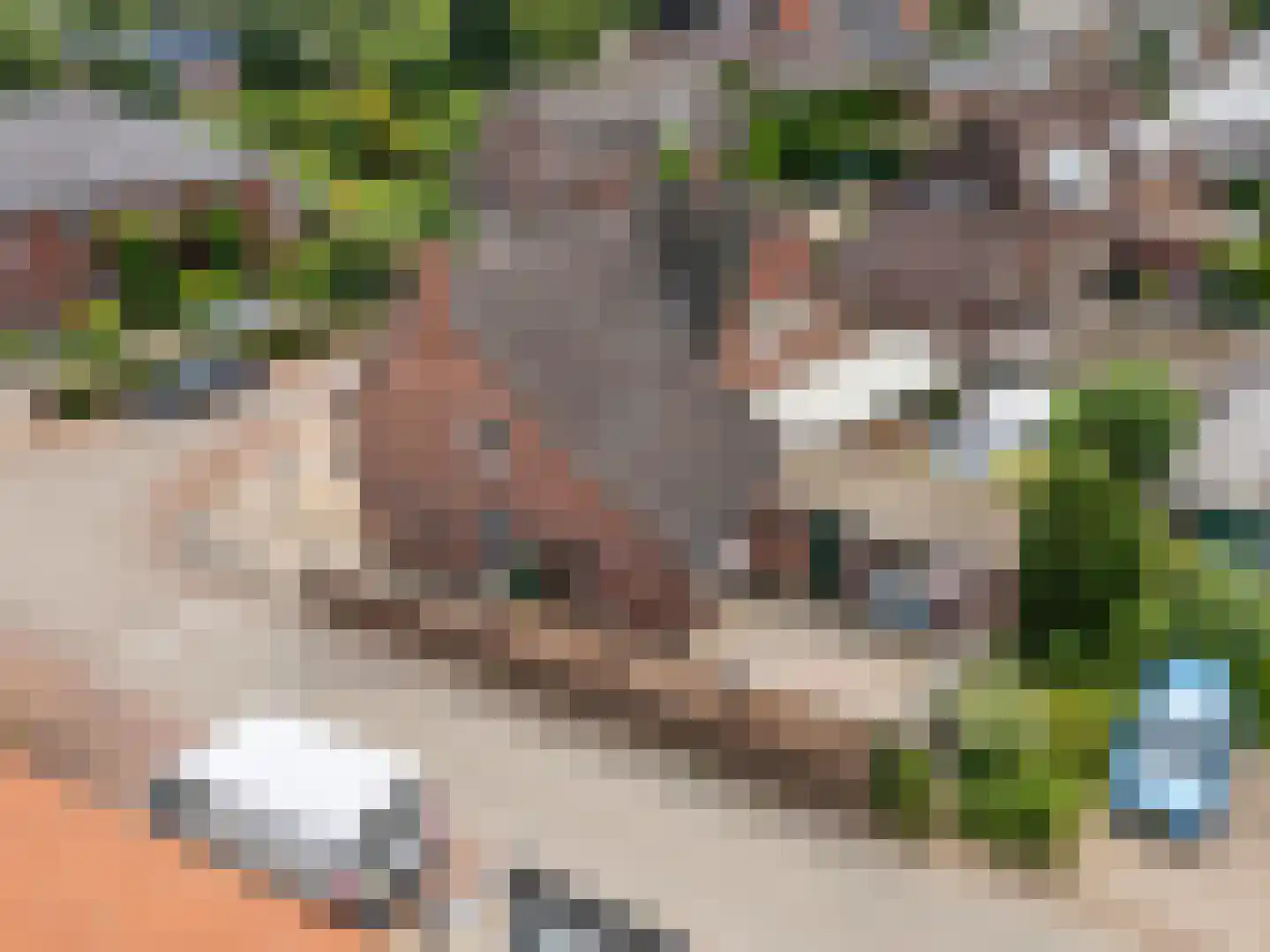 Bijenweideweg 1 Venlo thumbnail 38
