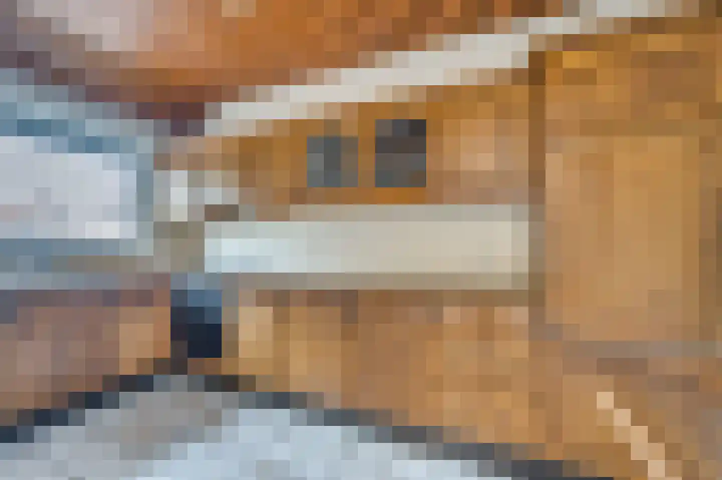 Bijenweideweg 1 Venlo thumbnail 7