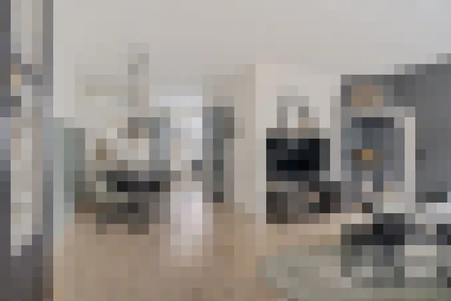 Bijhouwerlommer 35 Zoetermeer thumbnail 15