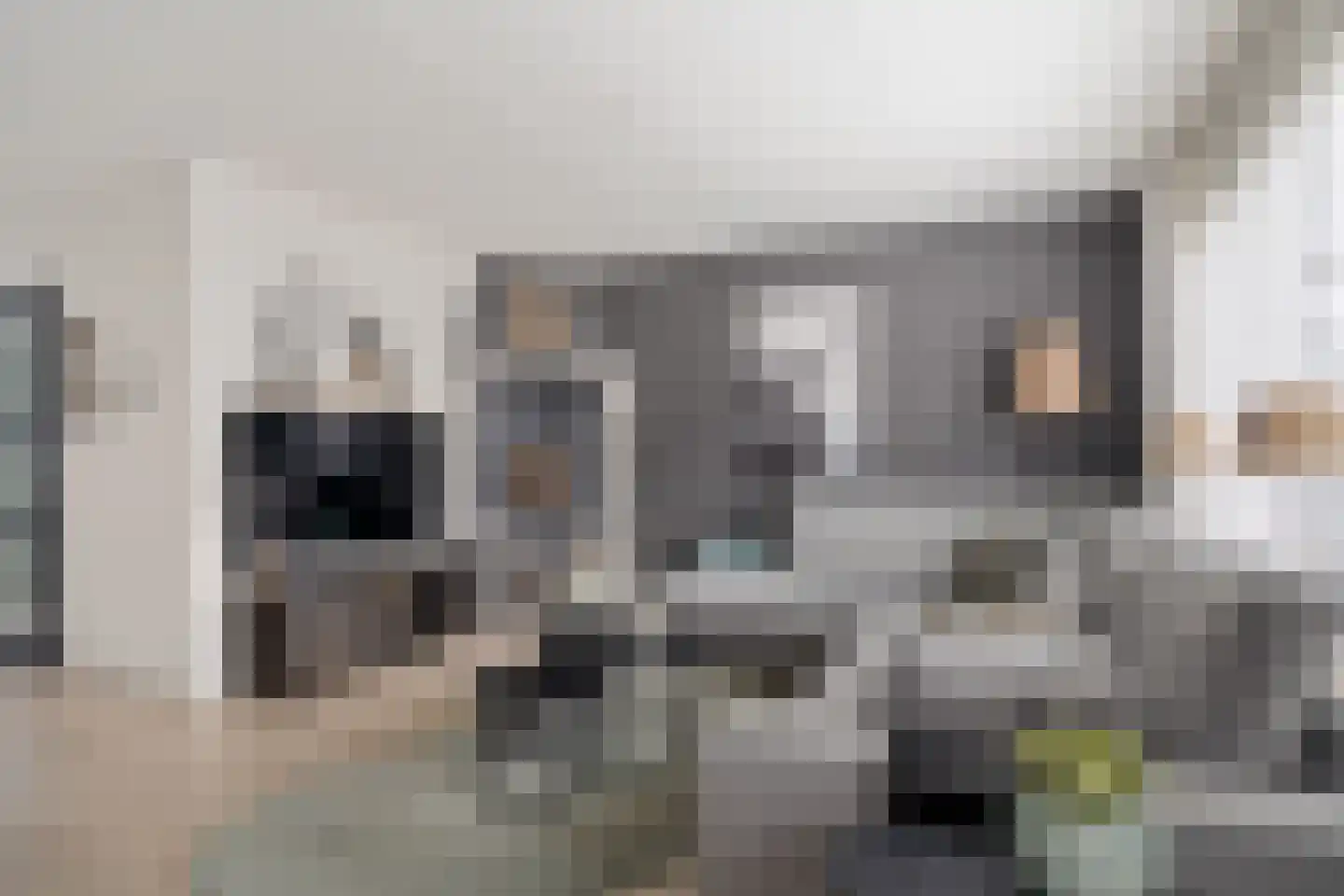 Bijhouwerlommer 35 Zoetermeer thumbnail 16
