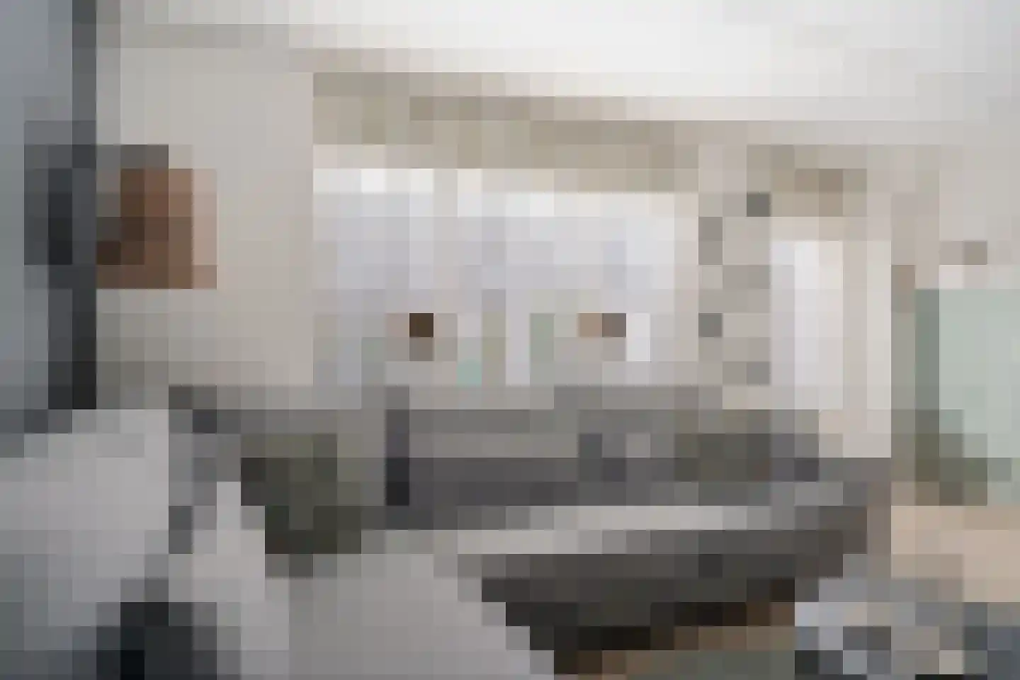 Bijhouwerlommer 35 Zoetermeer thumbnail 17