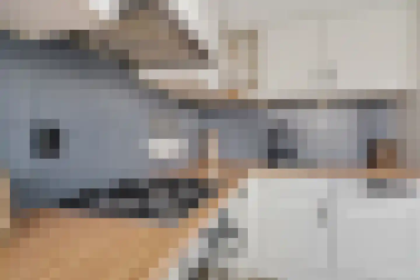Bijhouwerlommer 35 Zoetermeer thumbnail 21