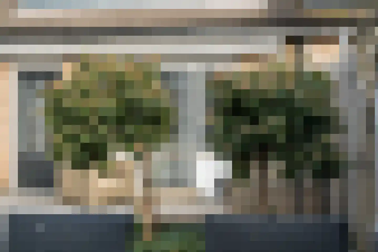 Bijhouwerlommer 35 Zoetermeer thumbnail 26
