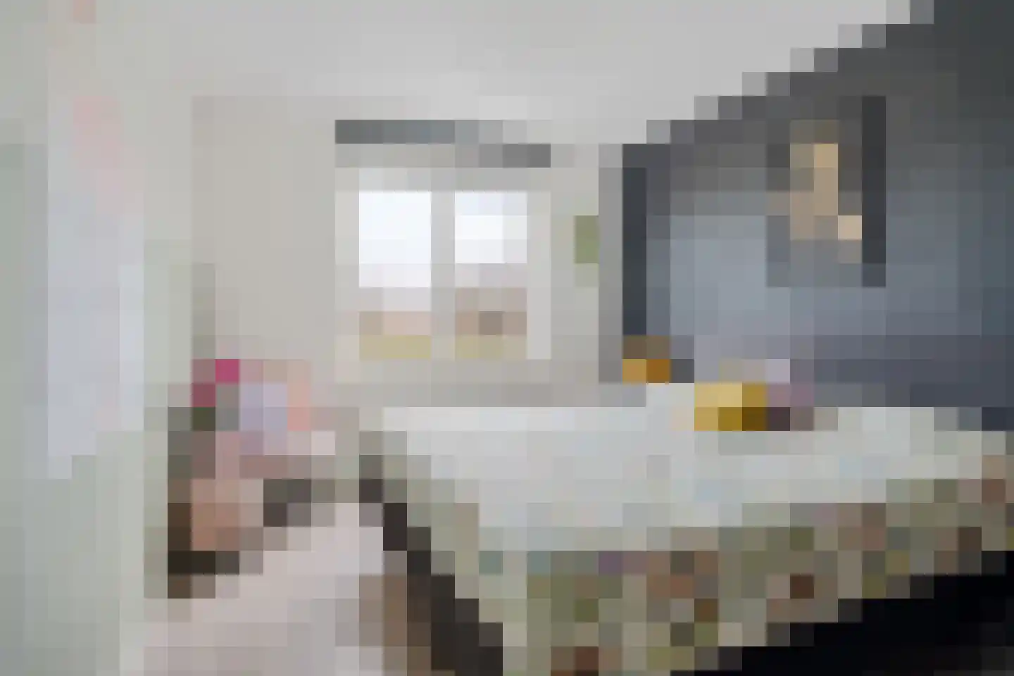 Bijhouwerlommer 35 Zoetermeer thumbnail 32