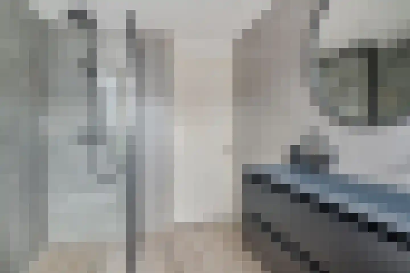 Bijhouwerlommer 35 Zoetermeer thumbnail 36