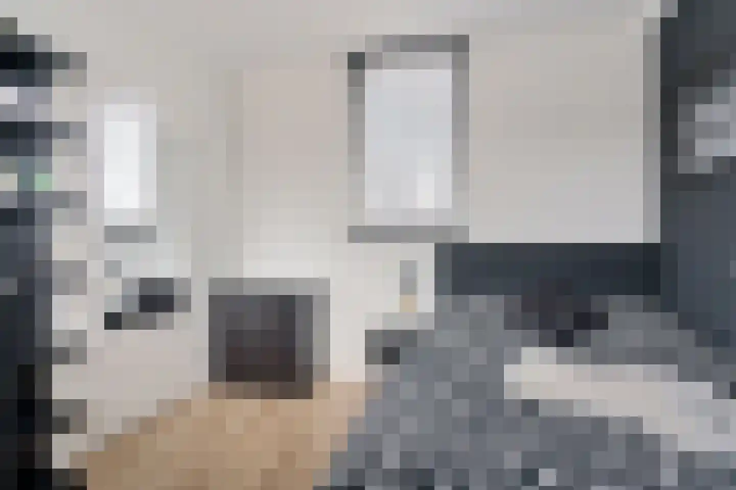 Bijhouwerlommer 35 Zoetermeer thumbnail 37