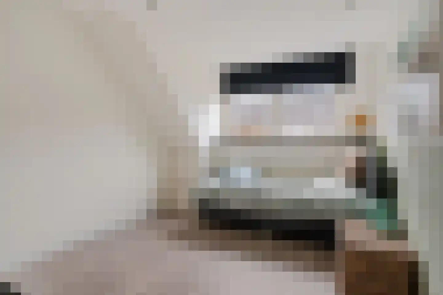 Bijhouwerlommer 35 Zoetermeer thumbnail 42