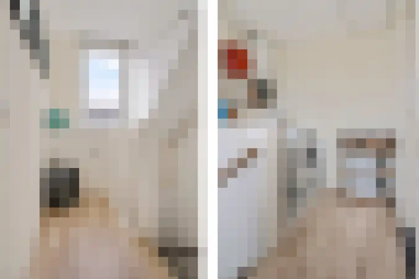 Bijhouwerlommer 35 Zoetermeer thumbnail 43